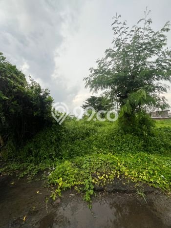 Kavling Tanah Dijual di Gianyar Gianyar Spesifikasi 150m2 Kavling Tanah Dijual di Gianyar Gianyar Spesifikasi 150m2