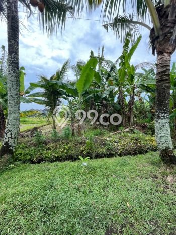 Tanah Dijual di Gianyar Seluas 100m2 Strategis Tanah Dijual di Gianyar Seluas 100m2 Strategis