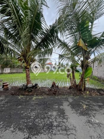 Tanah Siap Bangun Dijual di Gianyar Punya Luas 1800m2 Tanah Siap Bangun Dijual di Gianyar Punya Luas 1800m2