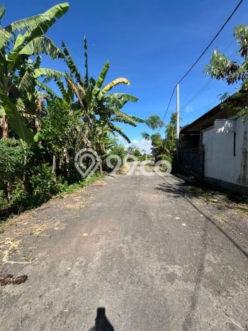 Tanah Kavling Dijual di Tulikup, Gianyar dengan Luas Tanah 100m2 Tanah Kavling Dijual di Tulikup, Gianyar dengan Luas Tanah 100m2