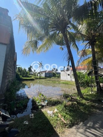 Untuk Dijual Tanah di Gianyar, Luas 385m2 SHM Untuk Dijual Tanah di Gianyar, Luas 385m2 SHM