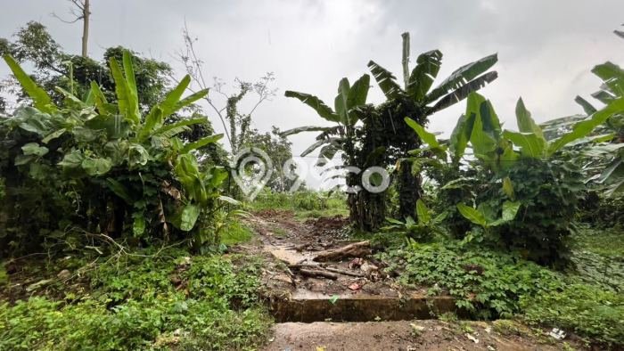 Kavling Tanah Dijual di Malingping, Lebak, Luas 31450m2 Area Strategis Kavling Tanah Dijual di Malingping, Lebak, Luas 31450m2 Area Strategis
