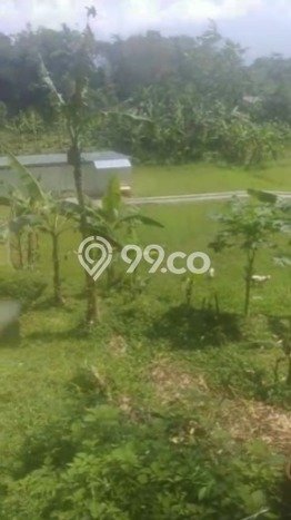 Tanah Strategis di Cigombong, Luas 3825m2m², Ideal untuk Perumahan Tanah Strategis di Cigombong, Luas 3825m2m², Ideal untuk Perumahan