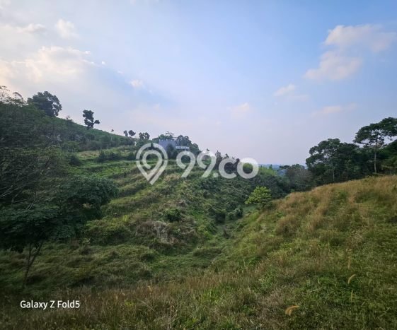Kavling Tanah Dijual di Cijeruk Bogor Spesifikasi 9750m2 Kavling Tanah Dijual di Cijeruk Bogor Spesifikasi 9750m2