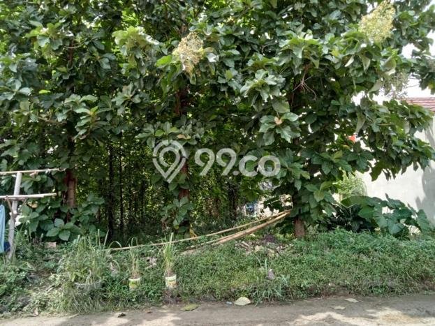 Tanah di Cibinong, Bogor Luas 800m2 Dijual Segera Tanah di Cibinong, Bogor Luas 800m2 Dijual Segera