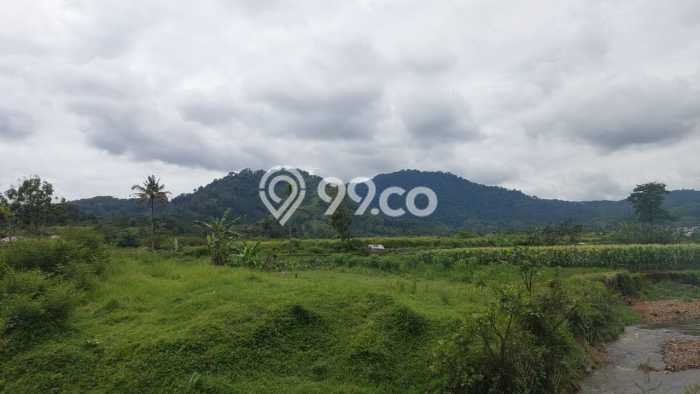Lahan Investasi Lokasi Cianjur Cianjur SHM Lahan Investasi Lokasi Cianjur Cianjur SHM