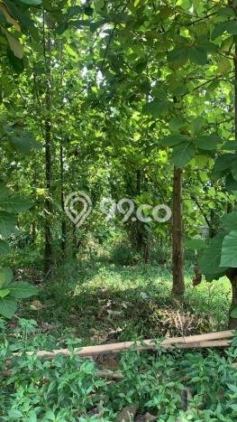 Tanah di Cibinong, Bogor Luas 800m2 Dijual Segera Tanah di Cibinong, Bogor Luas 800m2 Dijual Segera