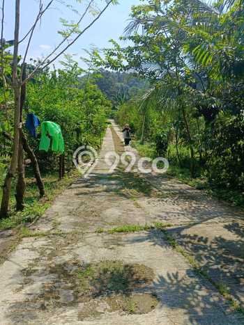 Lahan Strategis di Jasinga Dijual dengan Luas 36000m2 Lahan Strategis di Jasinga Dijual dengan Luas 36000m2