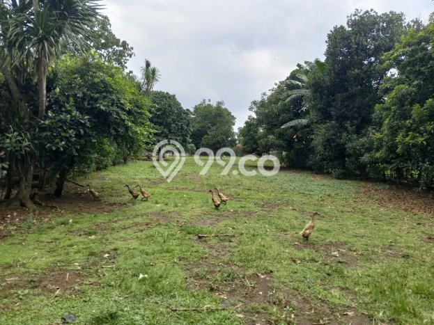 Jual Tanah Lokasi Prima Kawasan Legok, Luas 4788m2m², Akses Legok, Tangerang, Tangerang Jual Tanah Lokasi Prima Kawasan Legok, Luas 4788m2m², Akses Legok, Tangerang, Tangerang