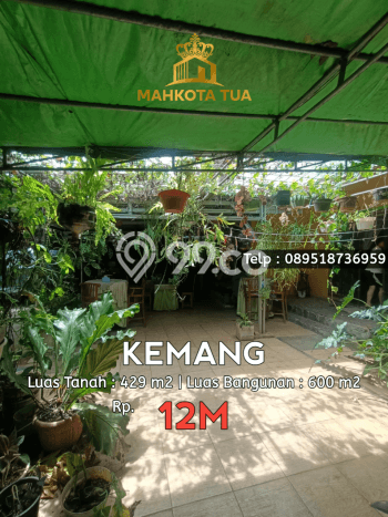 Hunian Mewah LB 600m2 Siap Pakai Desain Elegan di Kemang, Jakarta Selatan Hunian Mewah LB 600m2 Siap Pakai Desain Elegan di Kemang, Jakarta Selatan