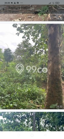Lahan untuk Dijual di Bojong Gede Bogor Luas 5000m2 Lahan untuk Dijual di Bojong Gede Bogor Luas 5000m2