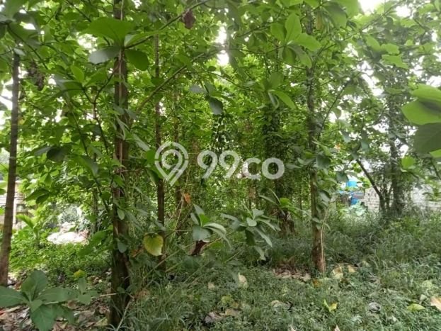 Lahan Strategis di Cibinong Dijual dengan Luas 800m2 Lahan Strategis di Cibinong Dijual dengan Luas 800m2