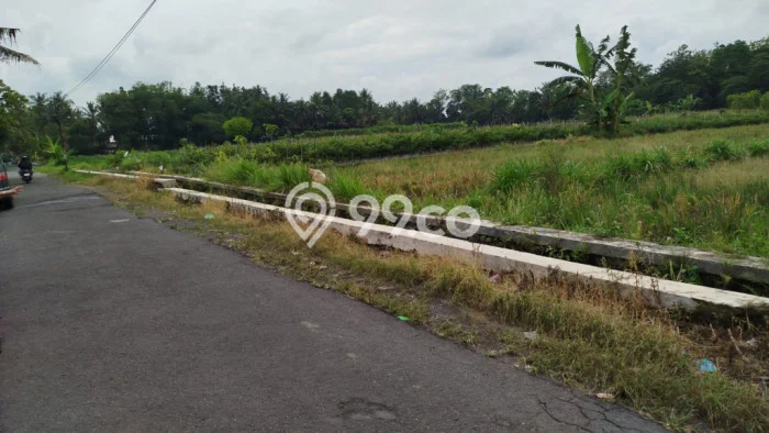 Kavling Tanah di Turi Dijual Luas 2732m2 Legalitas SHM Kavling Tanah di Turi Dijual Luas 2732m2 Legalitas SHM