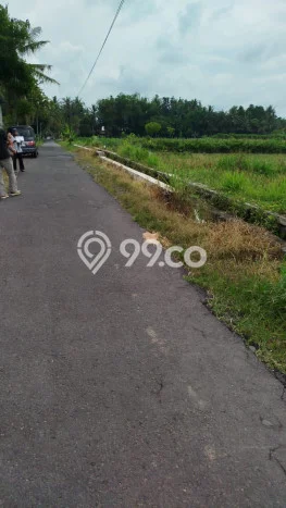 Kavling Tanah di Turi Dijual Luas 2732m2 Legalitas SHM Kavling Tanah di Turi Dijual Luas 2732m2 Legalitas SHM