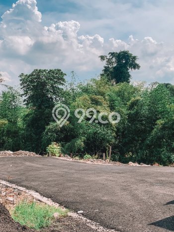 Tanah Disewakan Lokasi Tumbak Bayuh Badung Luas 1616m2 Tanah Disewakan Lokasi Tumbak Bayuh Badung Luas 1616m2