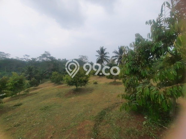 Tanah untuk Dijual di Cipatat Bandung Barat Luas 4100m2 Tanah untuk Dijual di Cipatat Bandung Barat Luas 4100m2
