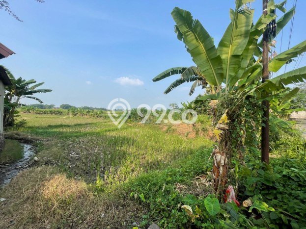 Dijual Tanah di Cibarusah, Luas 1400m2m², Lingkungan Nyaman, Kontur Datar Dijual Tanah di Cibarusah, Luas 1400m2m², Lingkungan Nyaman, Kontur Datar