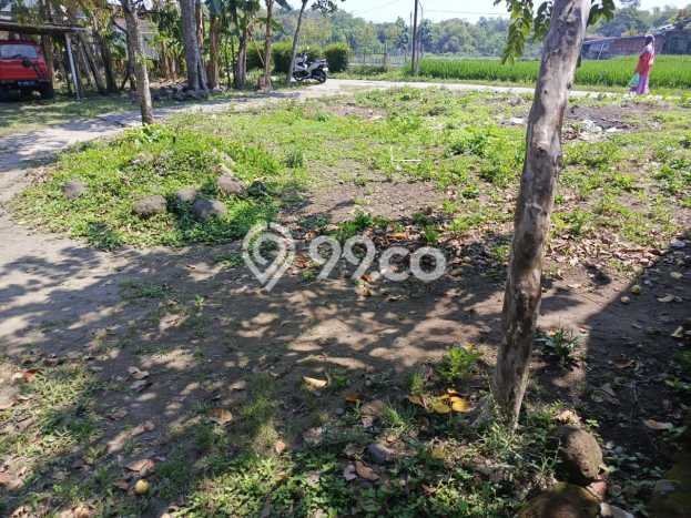 Tanah Kavling Dijual di Sidoarum, Yogyakarta dengan Luas Tanah 146m2 Tanah Kavling Dijual di Sidoarum, Yogyakarta dengan Luas Tanah 146m2