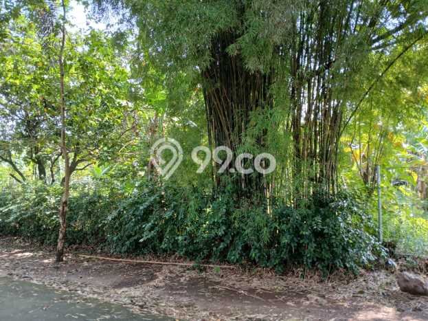 Tanah Kavling untuk Dijual di Sawangan Depok 1030m2 Tanah Kavling untuk Dijual di Sawangan Depok 1030m2