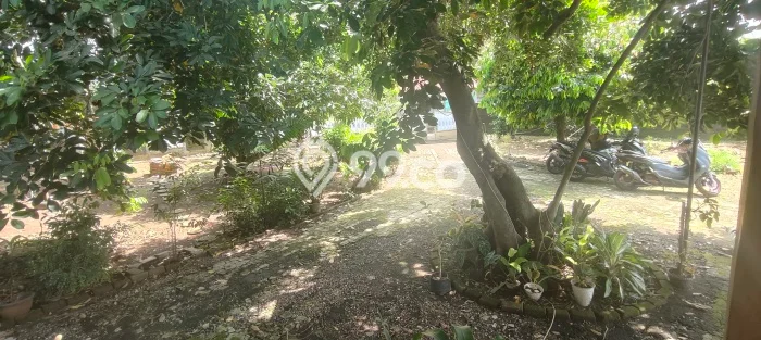 Rumah Elit Modern Tanpa Renovasi di Jaka Setia Bekasi Rumah Elit Modern Tanpa Renovasi di Jaka Setia Bekasi