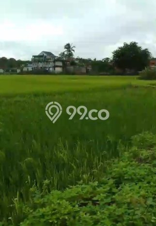 Jarang Ada! Tanah di Jambe Punya Luas 223m2 AJB Jarang Ada! Tanah di Jambe Punya Luas 223m2 AJB