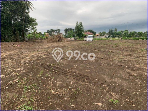 Tanah di Kalasan, Sleman Luas 118m2 Dijual Segera Tanah di Kalasan, Sleman Luas 118m2 Dijual Segera