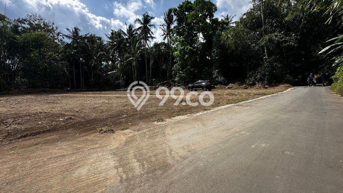 Lahan Investasi Lokasi Sleman Sleman SHM Lahan Investasi Lokasi Sleman Sleman SHM