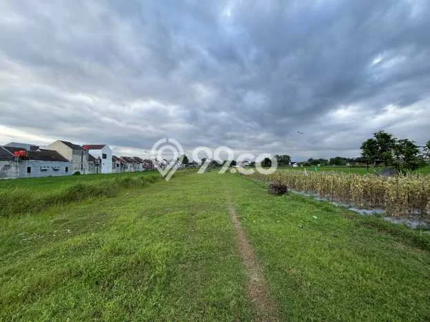 TANAH PROSPEKTIF! Tanah di , Luas 100m2m², Pinggir Jalan Utama TANAH PROSPEKTIF! Tanah di , Luas 100m2m², Pinggir Jalan Utama