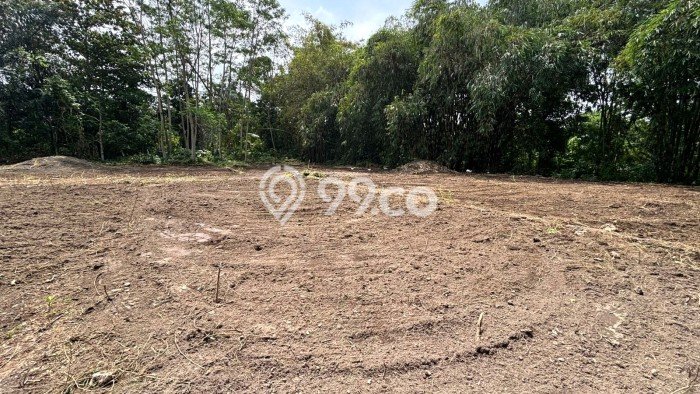 Tanah Dijual Lokasi Mlati Sleman SHM Tanah Dijual Lokasi Mlati Sleman SHM