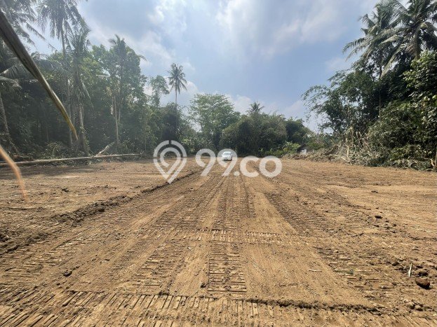 Lahan Investasi Lokasi Sleman Sleman SHM Lahan Investasi Lokasi Sleman Sleman SHM