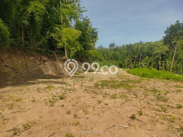 Tanah Kavling Dijual di Bantul dengan Spesifikasi 119m2 Tanah Kavling Dijual di Bantul dengan Spesifikasi 119m2