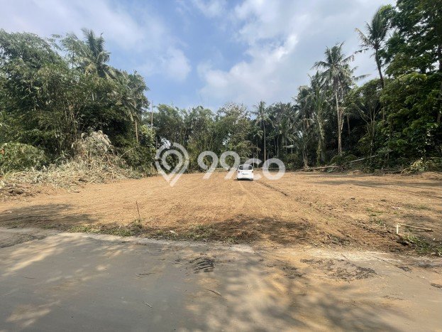 Lahan Investasi Lokasi Sleman Sleman SHM Lahan Investasi Lokasi Sleman Sleman SHM