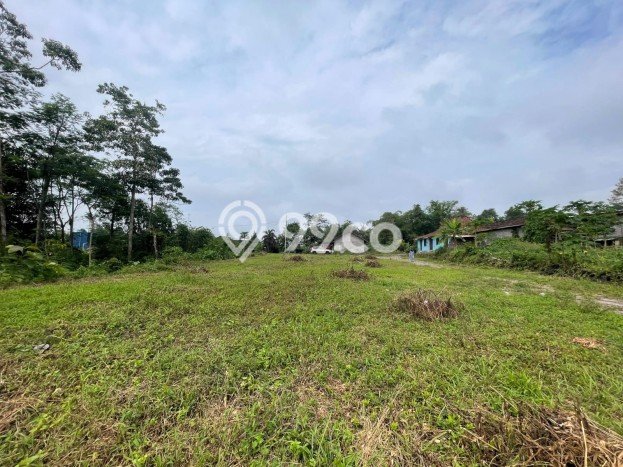 Kavling Tanah Dijual di Pakem Sleman Spesifikasi 118m2 Kavling Tanah Dijual di Pakem Sleman Spesifikasi 118m2