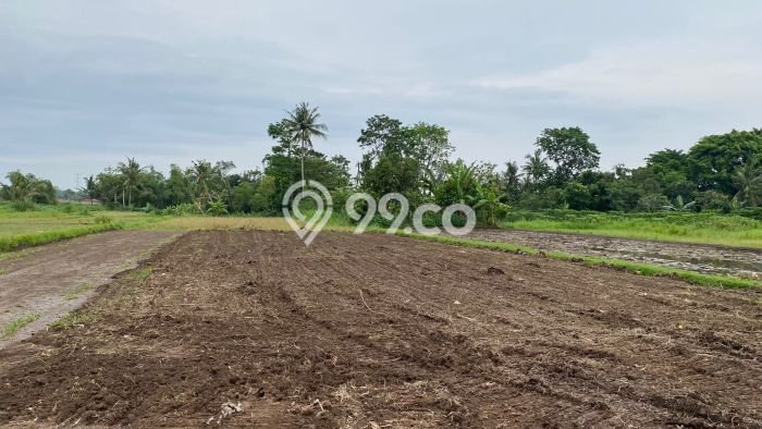Tanah di Sleman, Sleman Luas 109m2 Dijual Segera Tanah di Sleman, Sleman Luas 109m2 Dijual Segera