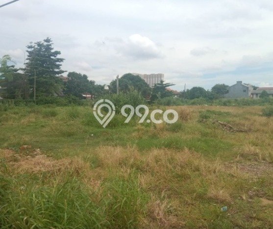 Jarang Ada! Tanah di Pamulang Punya Luas 8740m2 - Jarang Ada! Tanah di Pamulang Punya Luas 8740m2 -