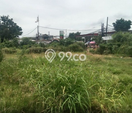 Jarang Ada! Tanah di Pamulang Punya Luas 8740m2 - Jarang Ada! Tanah di Pamulang Punya Luas 8740m2 -