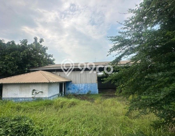 Area Ramai! Gudang Dijual di Kramatwatu untuk Bisnis Luas Bangunan 1620m2 Area Ramai! Gudang Dijual di Kramatwatu untuk Bisnis Luas Bangunan 1620m2