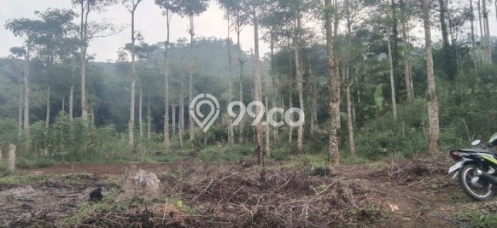 Lahan Investasi Lokasi Sukanagara Cianjur SHM Lahan Investasi Lokasi Sukanagara Cianjur SHM