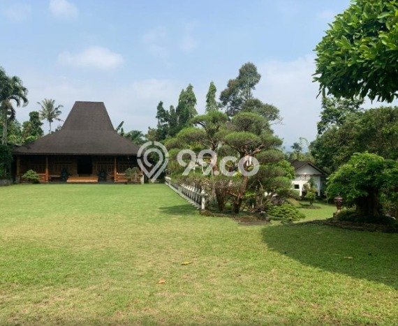 Ready to Use! Luxury House LT 3693m2 Desain Elegan di Sukamaju Ready to Use! Luxury House LT 3693m2 Desain Elegan di Sukamaju