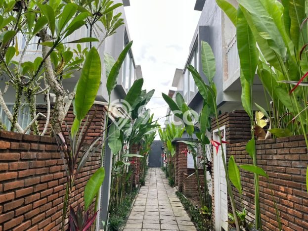 Hunian Cantik Minimalis Lb 116m2 di Ubud, Gianyar Hunian Cantik Minimalis Lb 116m2 di Ubud, Gianyar
