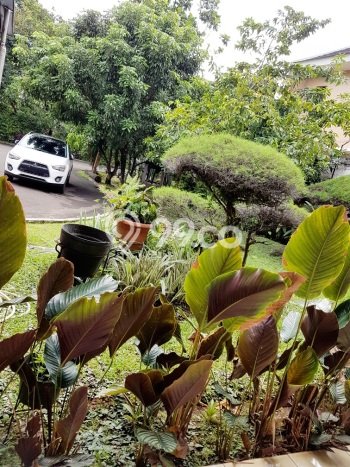 Hunian Super Elit dengan Akses Paling Strategis di Bintaro, Tangerang Selatan Hunian Super Elit dengan Akses Paling Strategis di Bintaro, Tangerang Selatan