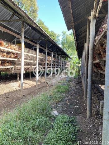 Tanah Dijual Lokasi Trawas, Mojokerto Luas 1800m2 Legalitas Aman Tanah Dijual Lokasi Trawas, Mojokerto Luas 1800m2 Legalitas Aman