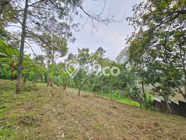 Lahan untuk Dijual di Trawas Mojokerto Luas 5138m2 Lahan untuk Dijual di Trawas Mojokerto Luas 5138m2