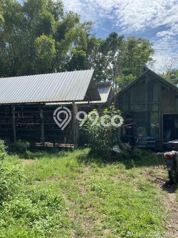 Tanah Dijual Lokasi Trawas, Mojokerto Luas 1800m2 Legalitas Aman Tanah Dijual Lokasi Trawas, Mojokerto Luas 1800m2 Legalitas Aman