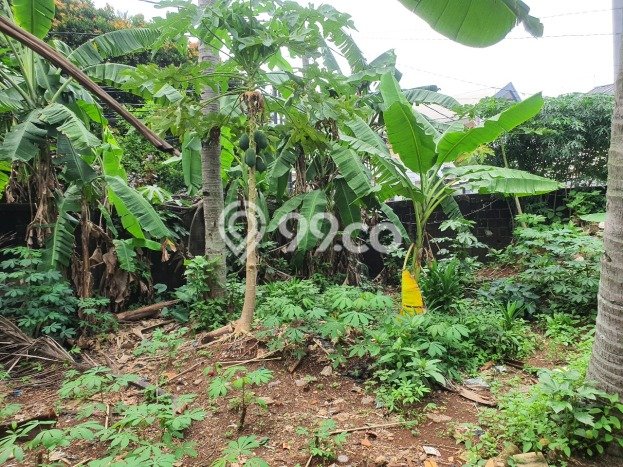 Kavling Tanah di Pancoran Mas Dijual Luas 1800m2 Legalitas SHM Kavling Tanah di Pancoran Mas Dijual Luas 1800m2 Legalitas SHM