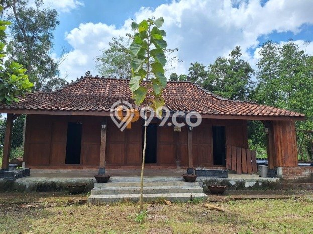 HARGA TERBAIK! Vila Kawasan Playen, Dimensi 865m2m², Kawasan Berkembang dengan prospek naik HARGA TERBAIK! Vila Kawasan Playen, Dimensi 865m2m², Kawasan Berkembang dengan prospek naik