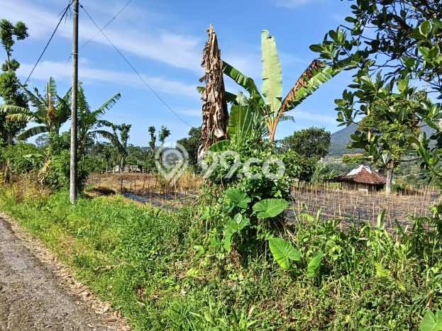 Lahan untuk Dijual di Baturiti Tabanan Luas 179900m2 Lahan untuk Dijual di Baturiti Tabanan Luas 179900m2