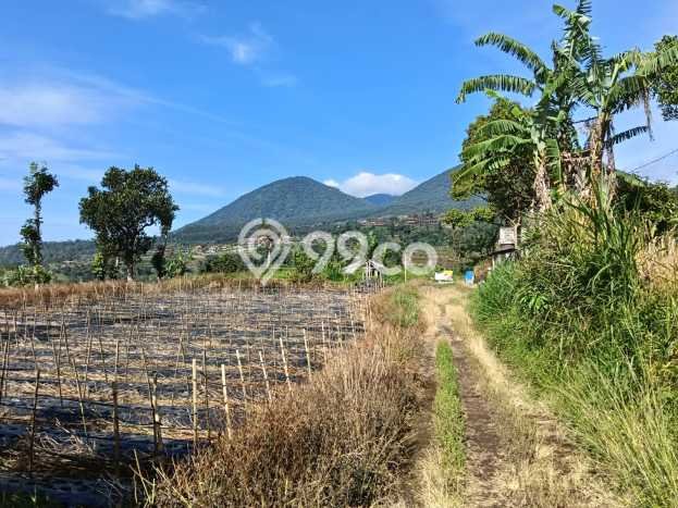 Lahan untuk Dijual di Baturiti Tabanan Luas 179900m2 Lahan untuk Dijual di Baturiti Tabanan Luas 179900m2