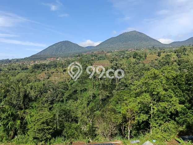 Lahan untuk Dijual di Baturiti Tabanan Luas 179900m2 Lahan untuk Dijual di Baturiti Tabanan Luas 179900m2