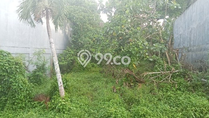 Dijual Tanah 180m2 di Dauhpeken, Tabanan Dijual Tanah 180m2 di Dauhpeken, Tabanan